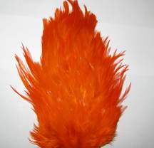 DF  Indian saddle  orange 